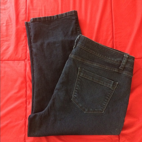 DANA BUCHMAN Capri Stretch Blue Jeans Sz 16 - Picture 2 of 3